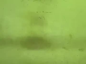 tamanna02 on Chaturbate 