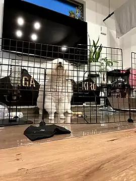 ken_0927 — Freechat on StripChat